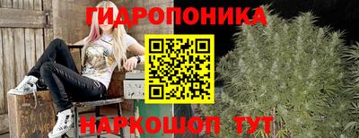 прущая мука Аша