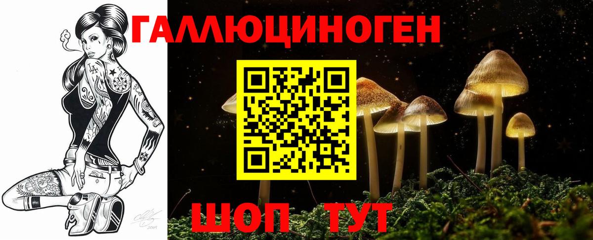 Псилоцибиновые грибы GOLDEN TEACHER  Вход с VPN  Новочебоксарск 