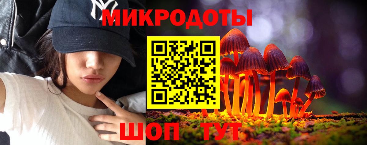 Псилоцибиновые грибы Cubensis Новочебоксарск